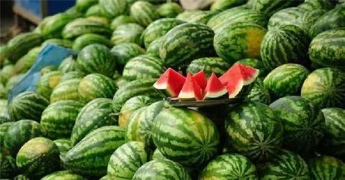 四个字网红吃瓜视频,揭秘娱乐圈幕后风云